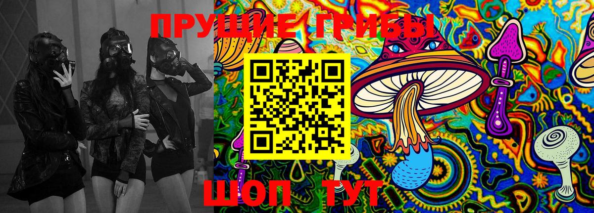 Галлюциногенные грибы Psilocybe Алексин