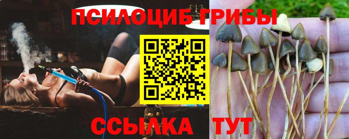 Галлюциногенные грибы Cubensis  Галлюциногенные грибы Psilocybe  Вход с VPN  Алексин 